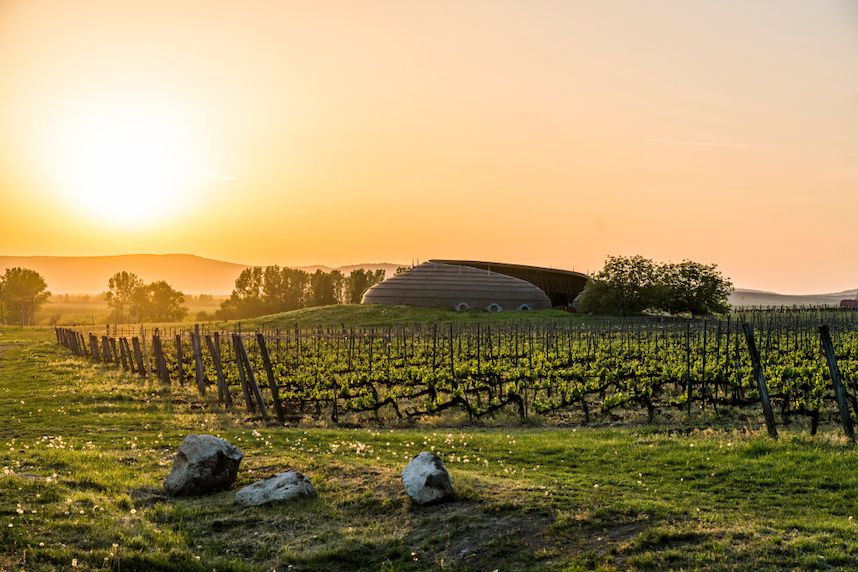 I nuovi Paesi del vino: alla scoperta dei vini ungheresi